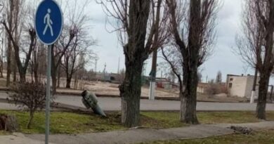 Российские оккупанты нанесли ракетный удар по порту "Ольвия"
