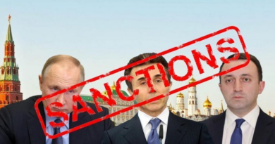 В Грузии создали петицию с требованием ввести санкции против Иванишвили