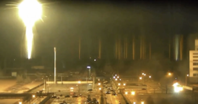 Ядерная безопасность на Запорожской АЭС нарушена, пожарных не допускают
