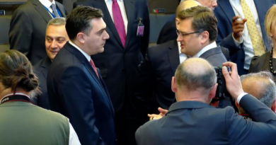 Главы МИД Грузии и Украины договорились продолжить коммуникацию