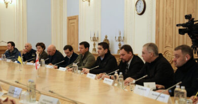 Грузинские парламентарии прокомментировали итоги визита в Киев