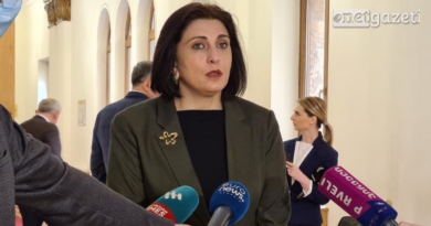 Депутат: Граждане не заслуживают премьера, который выглядит как «ручной мальчик» Иванишвили