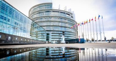 Европарламент: Грузия серьезно отступила от основных демократических принципов