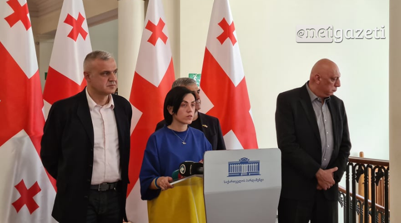 ЕНД выступило с инициативой о выдаче соцпомощи гражданам Грузии погибшим в войне в Украине