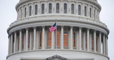 Палата представителей Конгресса США поддержала резолюцию о ленд-лизе для Украины