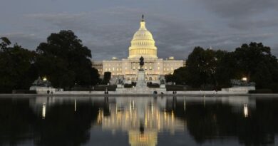 Палата представителей США утвердила «Акт о поддержке Грузии»