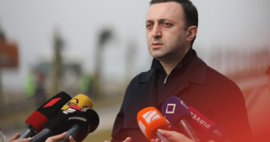 Премьер Грузии отказался комментировать визит «Альянс патриотов» в Москву