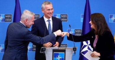 СМИ: Финляндия и Швеция могут вступить в НАТО уже этим летом