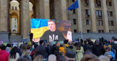 Украинский депутат Алексей Гончаренко обратился к участникам акции в Тбилиси