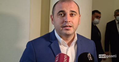 Член ЕНД предложил отметить проводы «Грузинской мечты» как национальный праздник