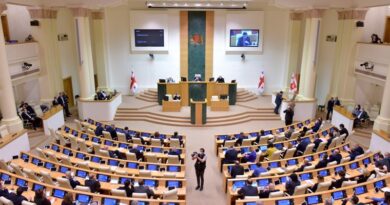 В парламенте Грузии ждут министров — вход в здание ограничен
