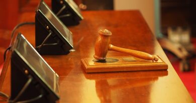 Кто вынес приговор Гварамия и почему юристы заявляют о конфликте интересов