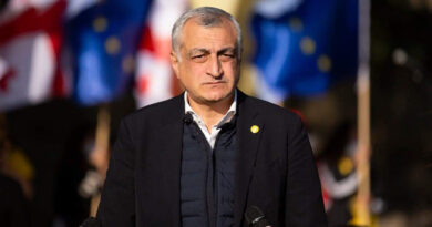 Лидер «Лело»: «Европейский выбор Грузии под угрозой»