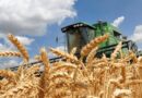 ООН предлагает ослабить санкции против России в обмен на деблокаду зерна из Украины — WSJ
