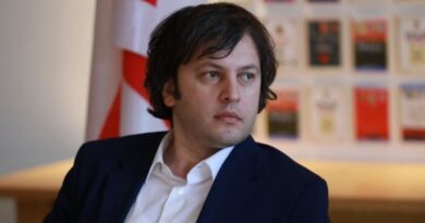 Председатель «Грузинской мечты» назвал депутата Европарламента «защитницей криминалов»