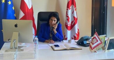«С нетерпением ждем решения ЕС» — президенты Грузии и Молдовы провели телефонный разговор