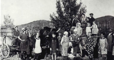 Сартичала: История первого немецкого поселения в Южном Кавказе