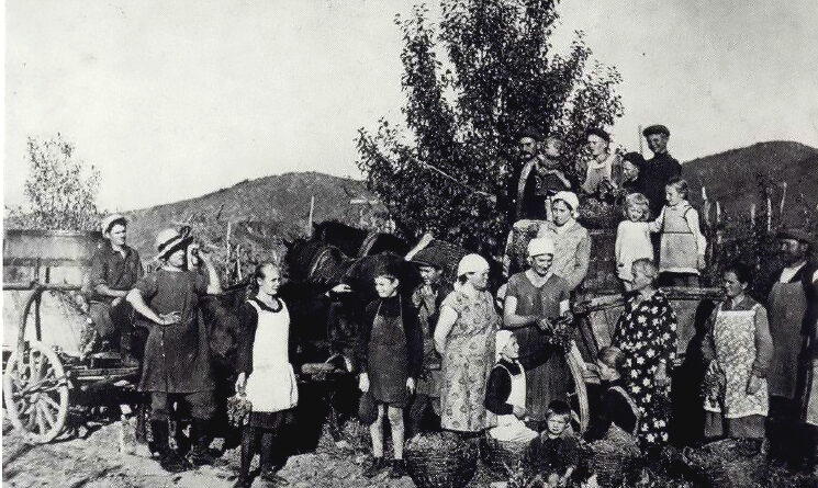 Сартичала: История первого немецкого поселения в Южном Кавказе