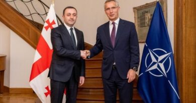 Состоялась встреча премьера Грузии и Генсека НАТО