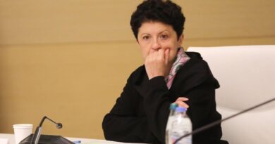 Цулукиани считает, что Виола фон Крамон и Ян Келли вместе с ЕНД хотят свергнуть правительство Грузии