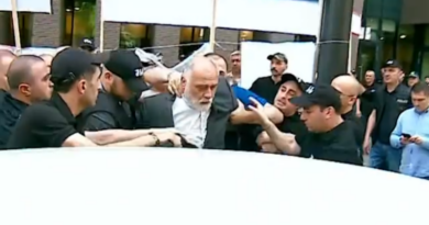 В Тбилиси задержаны участники акции против интеграции с Западом