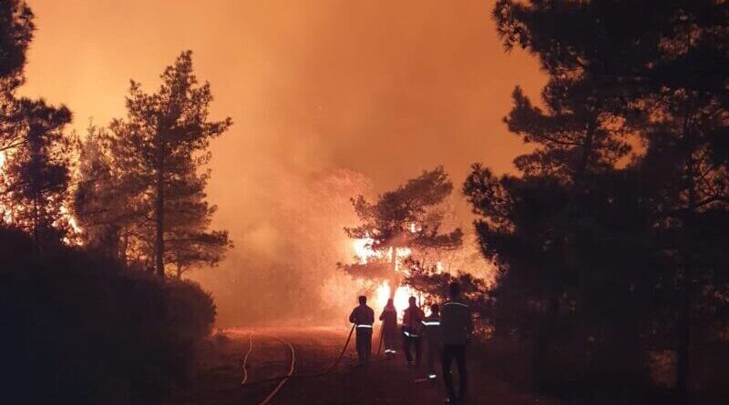 В Турции у города Мармарис тушат крупный лесной пожар