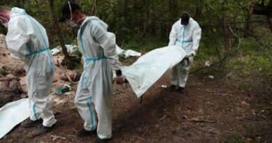 В Kиевской области обнаружены новые захоронение расстрелянных граждан