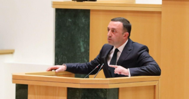 Выступление премьера Грузии в парламенте отложено
