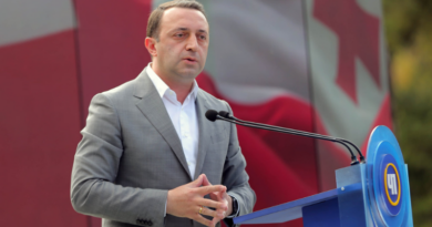 Гарибашвили: Через неделю правительство Грузии станет акционером «Боржоми»