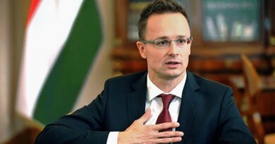 Глава МИД Венгрии: Грузия заслужила статус кандидата