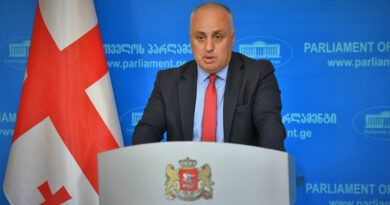 Грузинский депутат призвал отказаться от статуса кандидата в случае выдвижения «несправедливых обязательств»