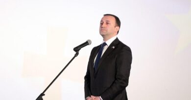 Иракли Гарибашвили не намерен уходить в отставку