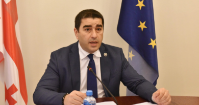 Папуашвили: Зеленский не выражал желания выступить в парламенте Грузии