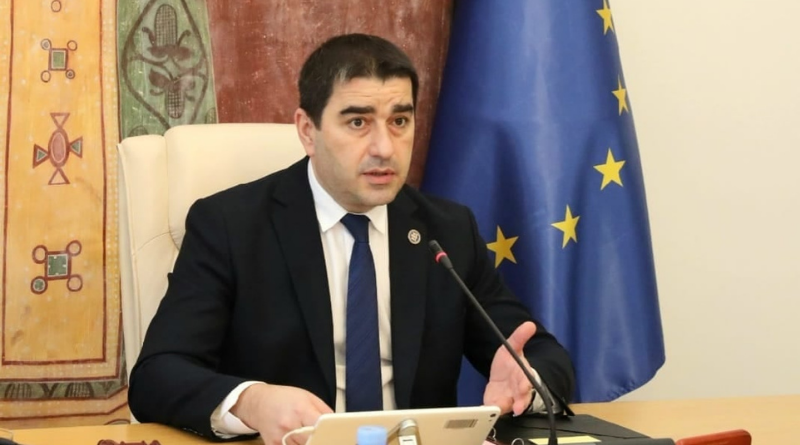 По мнению Папуашвили, Зеленский объявил Грузии «дипломатический демарш»