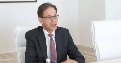 Посол Германии примет участие в акции объявленной президентом Грузии