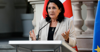 Президент Грузии подвергла критике выступление Гарибашвили