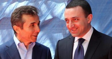 Премьер Грузии: Без Иванишвили у нас не было бы страны