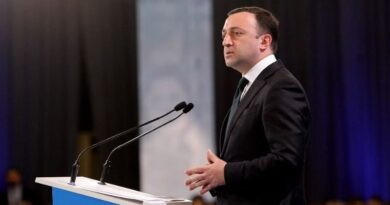 Премьер Грузии готов договариваться с оппозицией «об определенных правилах игры»