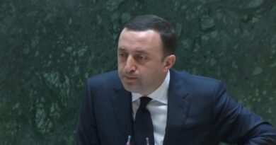 Премьер Грузии: «Мы должны быть наказаны за то, что у нас нет войны?»