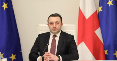 Премьер Грузии назвал резолюцию Европарламента «антигрузинской»