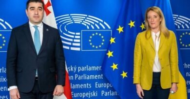 Спикер Парламента Грузии обратился к главе Европарламента