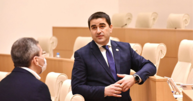 Спикер Парламента Грузии: «Я не читал методичек ФСБ»