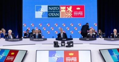 Что написано в декларации Мадридского саммита НАТО о Грузии