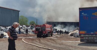 В Батуми на территории промзоны произошел пожар