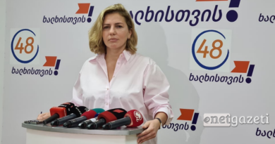 В Грузии предложили запретить занимать госпосты тем, кто работал на Иванишвили