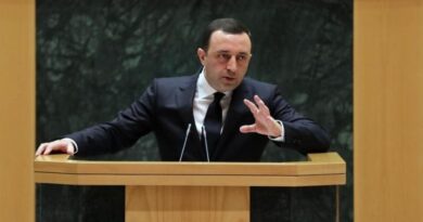 Гарибашвили: доклад Госдепа США подтвердил, что Грузия не нарушала санкций