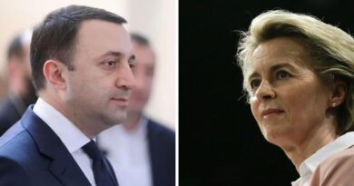 Гарибашвили призвал Еврокомиссию отмежеваться от резолюции Европарламента