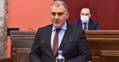 Глава Комитета парламента по защите прав человека заступился за депутата «Мечты»