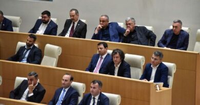 «Грузинская мечта» сорвала проведение внеочередного заседания парламента