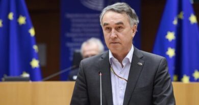 Евродепутат сообщил, что ЕC сталкивается с вызовами в политсистеме Грузии